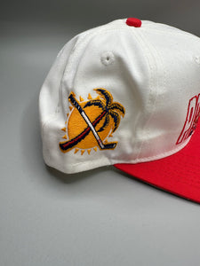 Vintage Florida Panthers Two Tone Snapback Nonbama