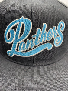 Vintage Carolina Panthers Snapback Hat