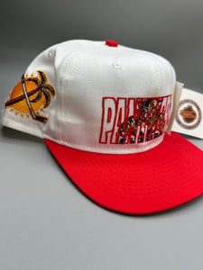 Vintage Florida Panthers Two Tone Snapback Nonbama