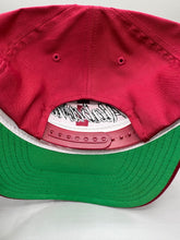 Load image into Gallery viewer, Vintage Alabama X Annco SnapBack Hat
