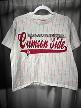 Load image into Gallery viewer, Vintage Nutmeg X Alabama Pinstriped T-Shirt Medium
