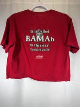 Load image into Gallery viewer, Ezekiel 20:29 Denny Chimes Crimson T-Shirt Boxy Cropped Small - Alabama VTG

