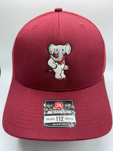 Load image into Gallery viewer, Dead Head Elephant Richardson Snapback Hat
