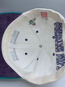Vintage Dover Downs Monster Mile Blockhead Rare American Needle Snapback Hat