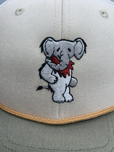 Load image into Gallery viewer, Dead Head Elephant Richardson Snapback Hat
