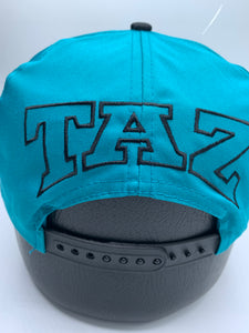 1993 Looney Tunes X Florida Marlins Snapback Hat
