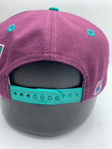 Vintage Mighty Ducks X The Game Snapback Hat